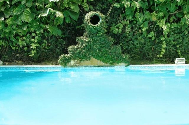 Pousada Alamanda Natal Exterior foto